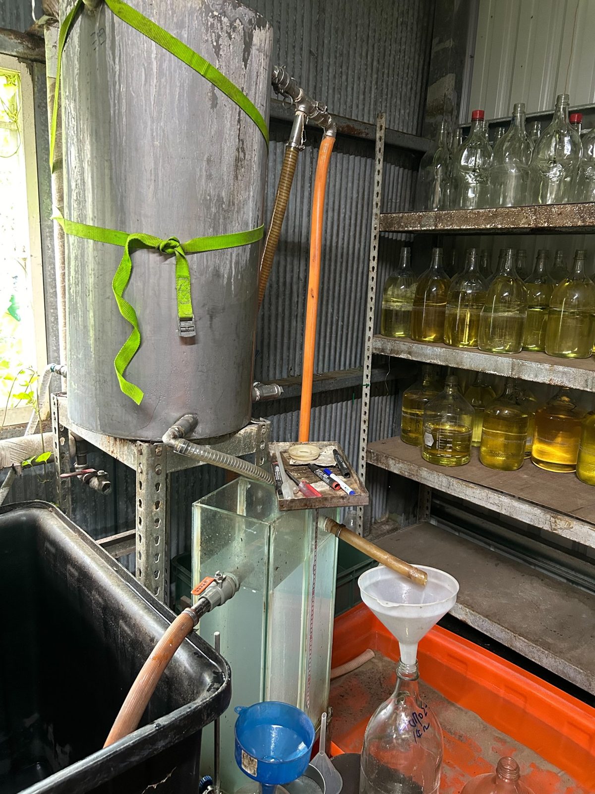 Herbs delivered to a contract processor for essential oil and hydrosol extraction