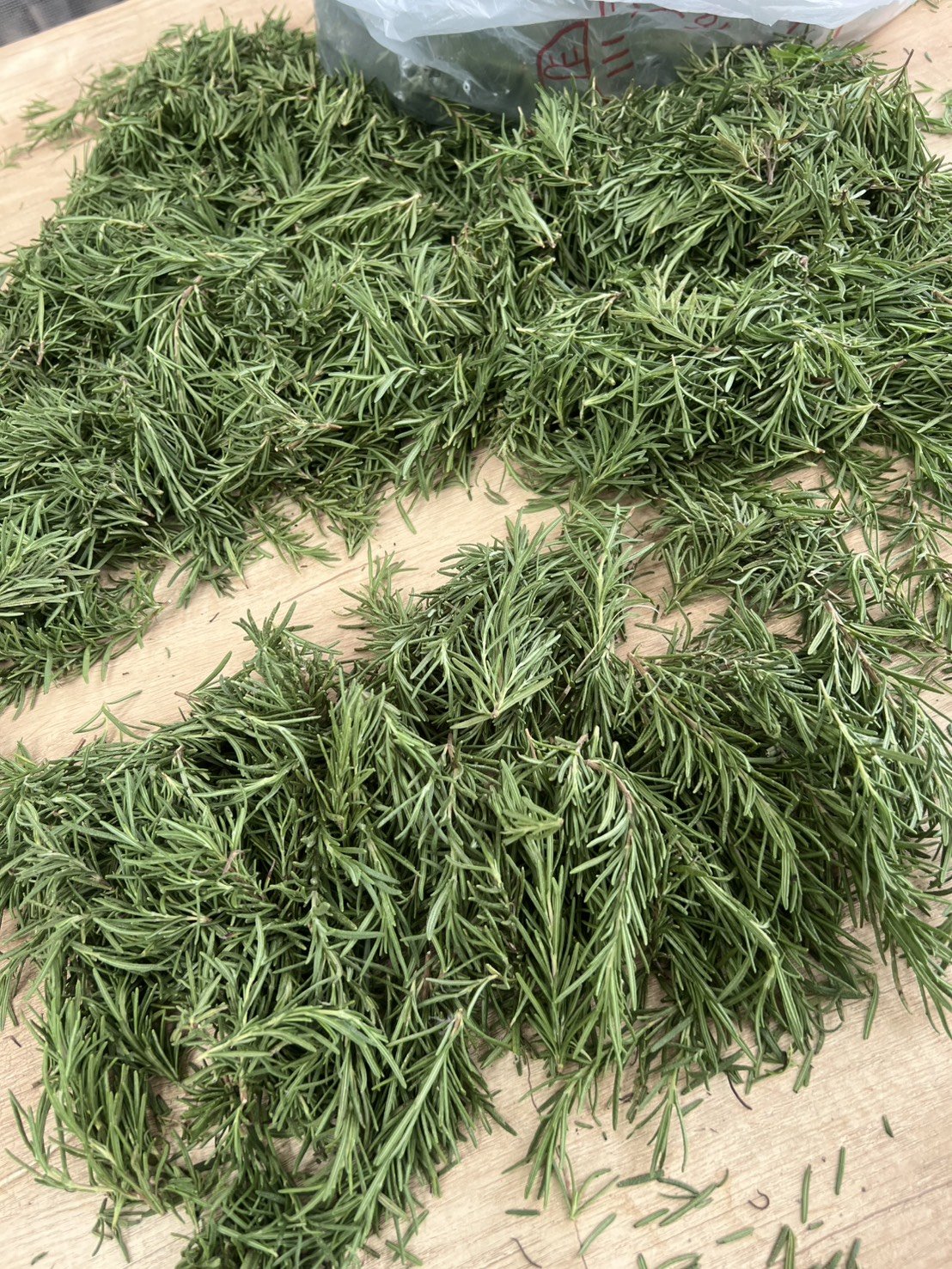 採收後的迷迭香攤開乾燥,潮濕的地方要加強通風